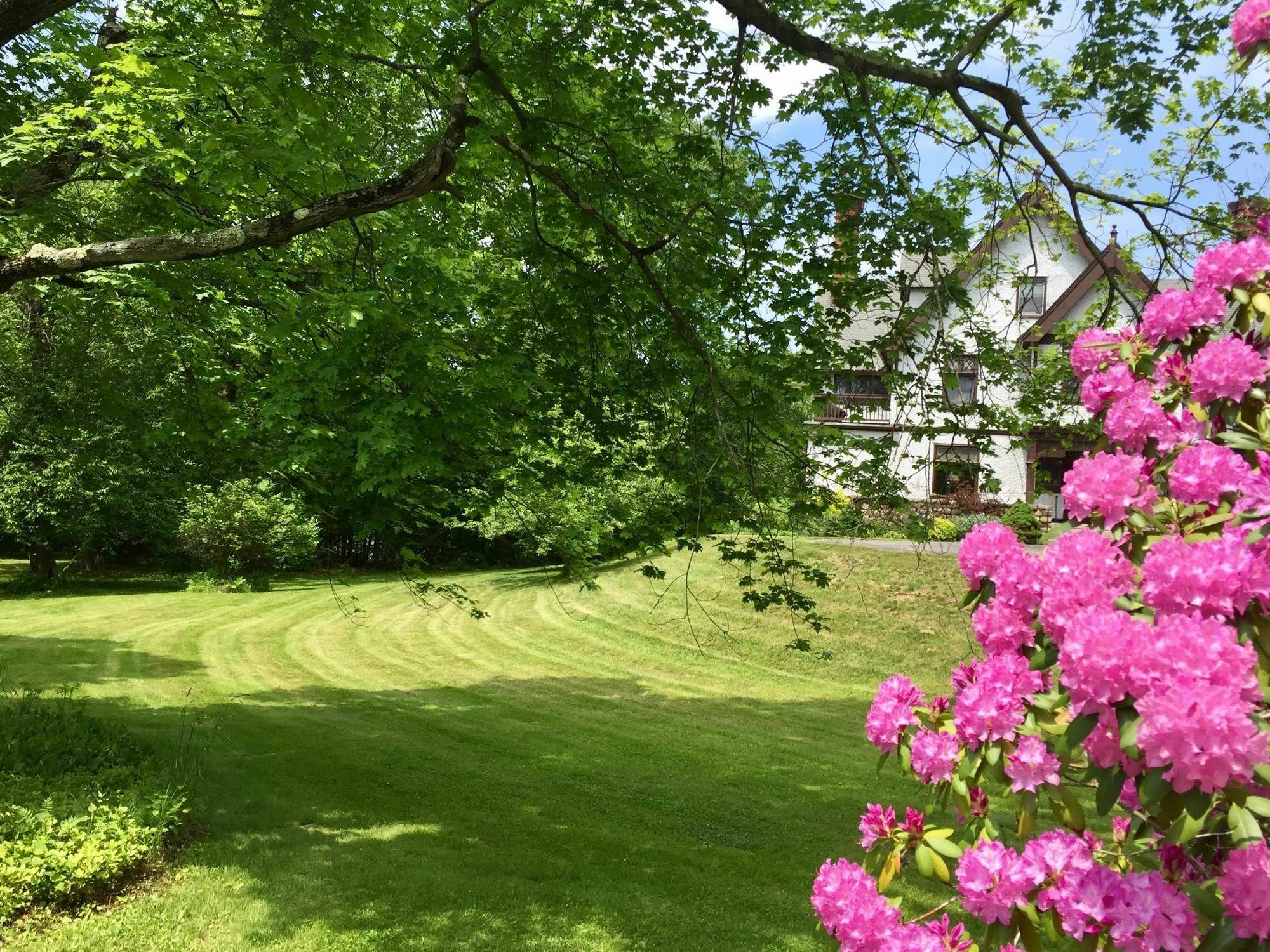 Manor House Bed & Breakfast Norfolk Exteriér fotografie